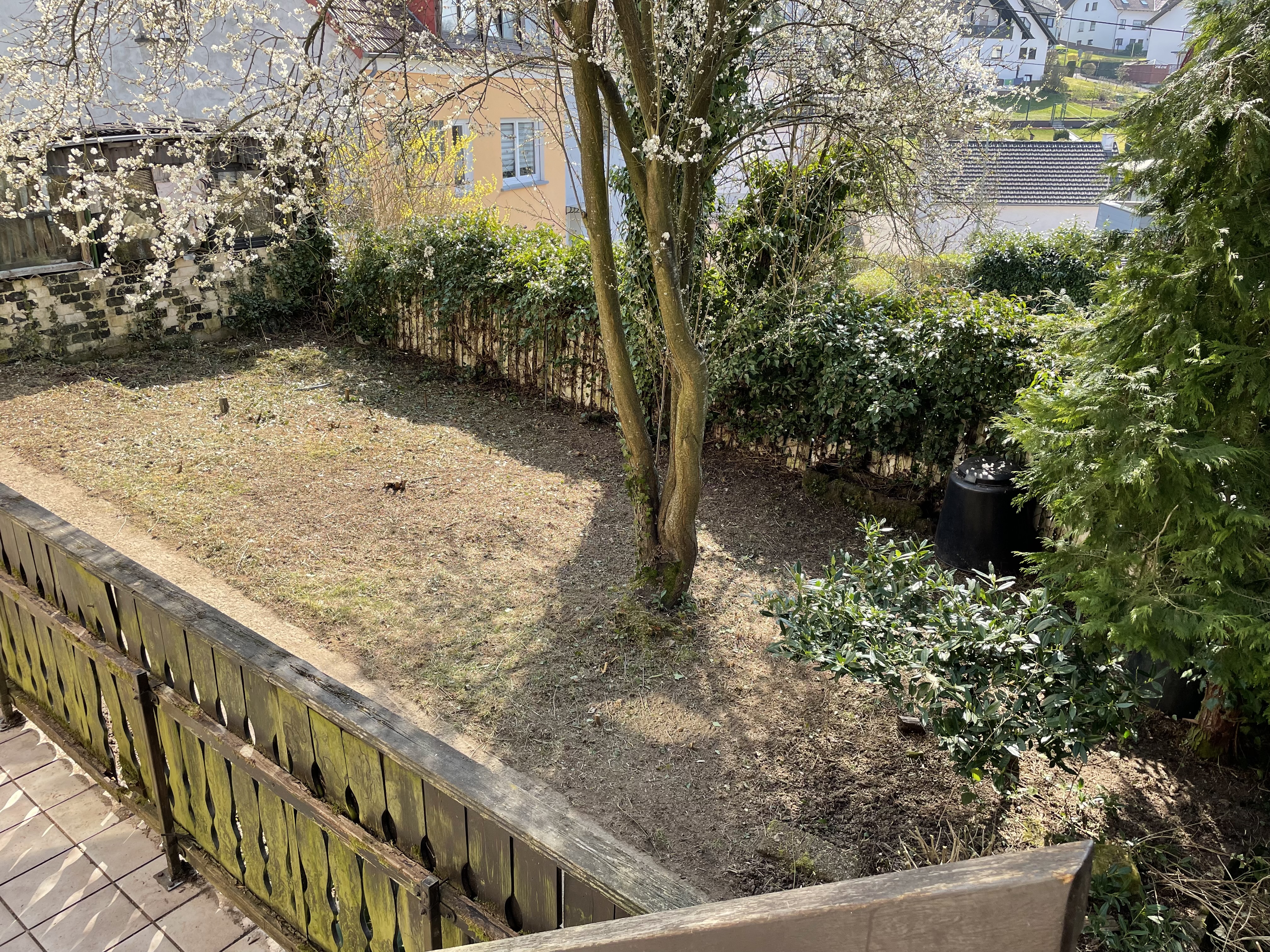 Ausblick