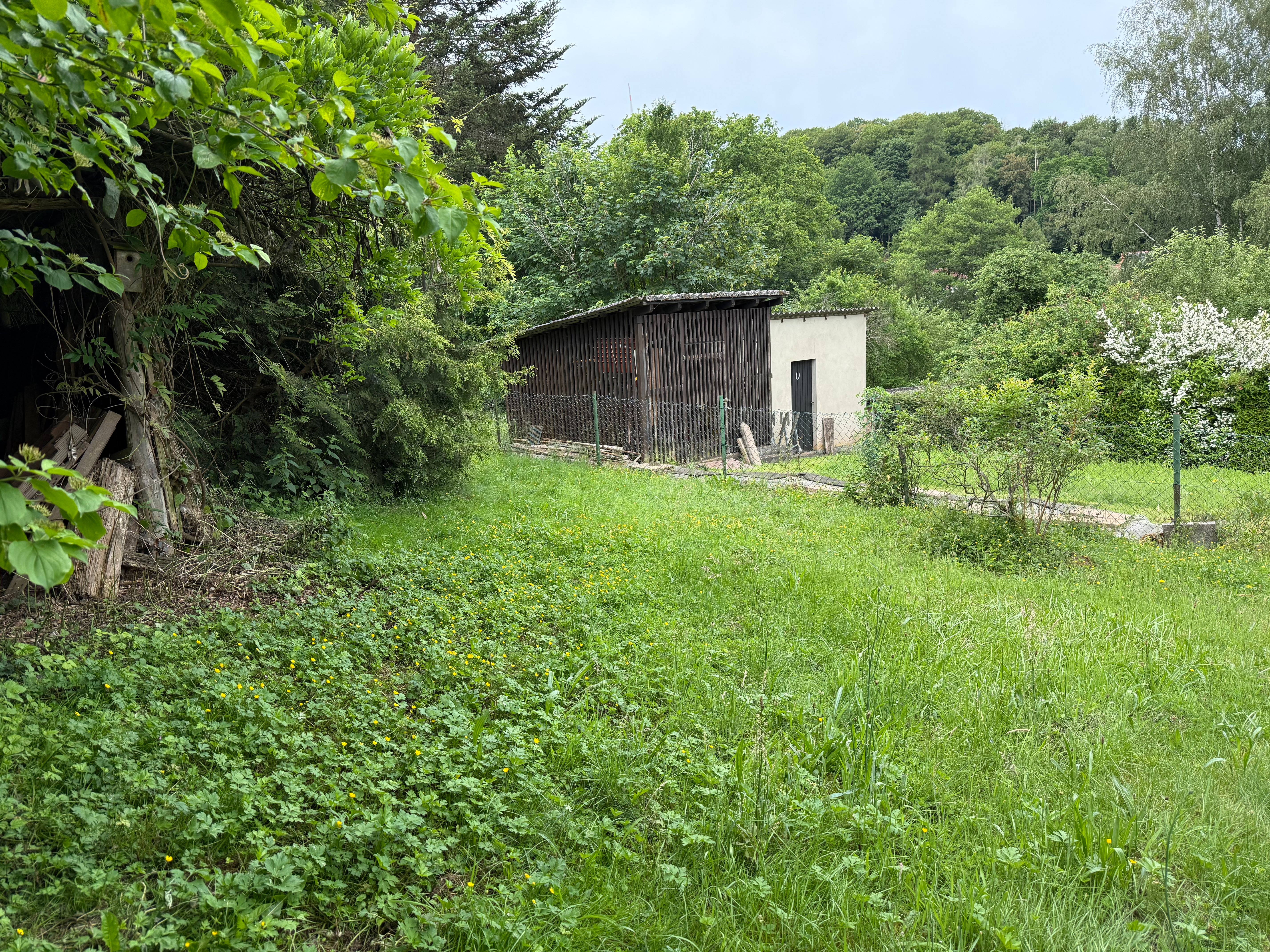Garten bis zum Zaun